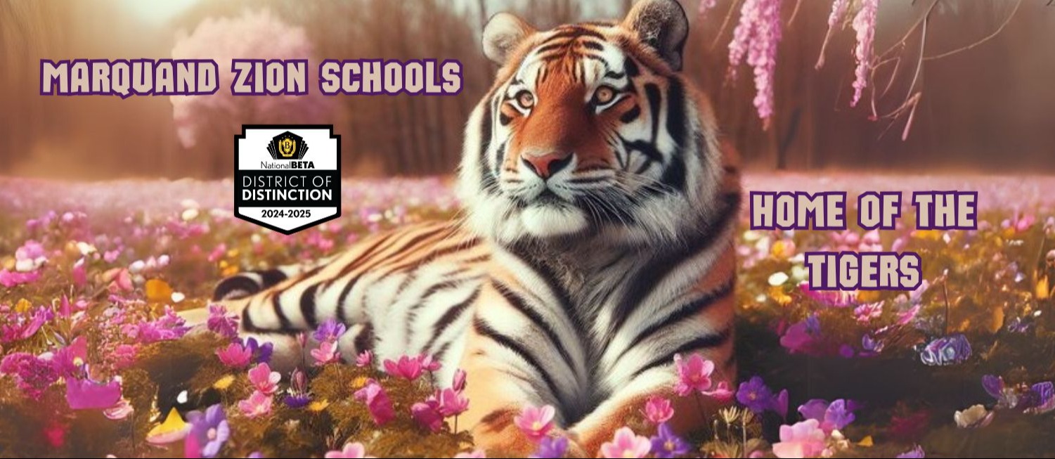 Marquand Zion Schools