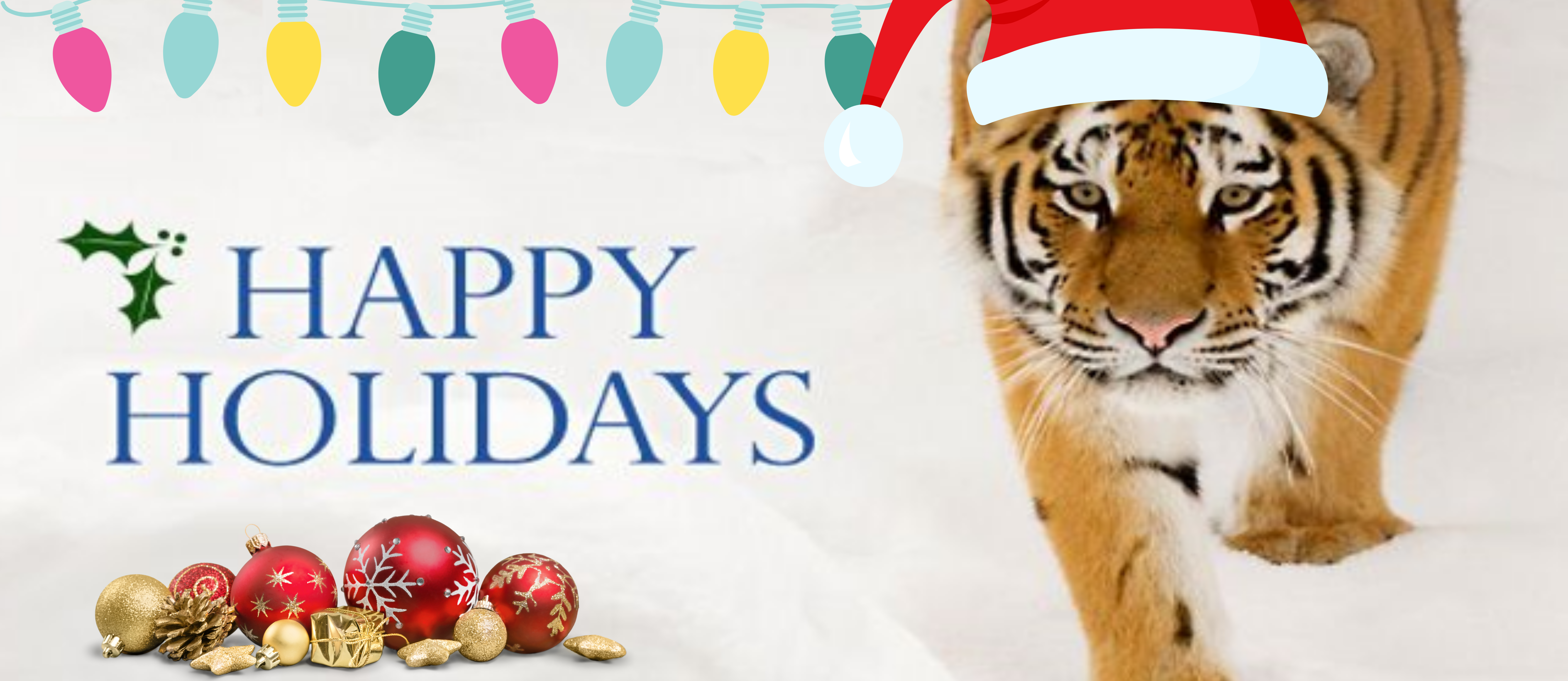Happy Holidays