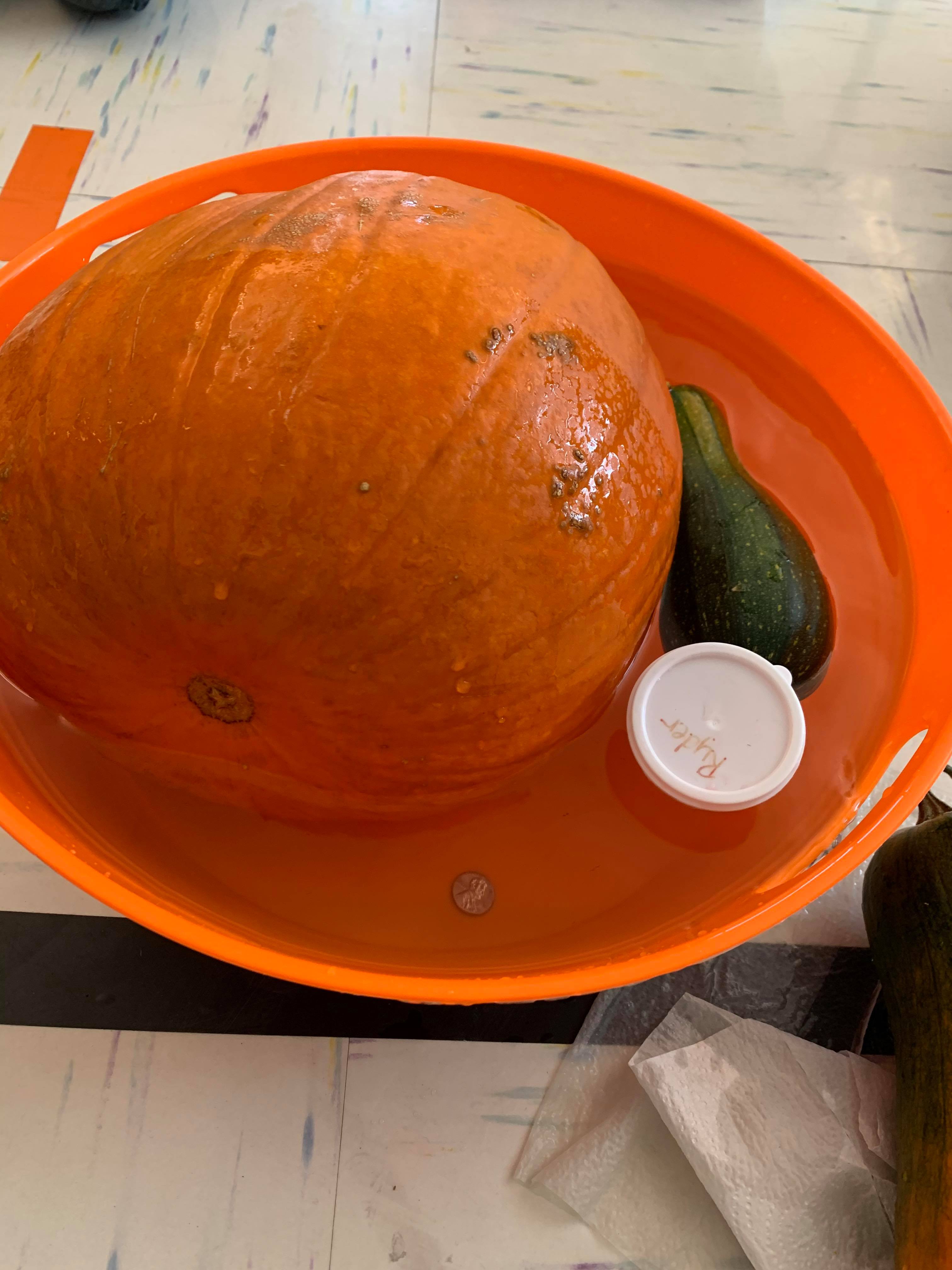 Floating/Sinking Objects - A tiny penny sinks, while a huge pumpkin floats!