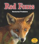 red-foxes