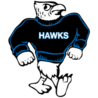 Picture of Huey the Hawk