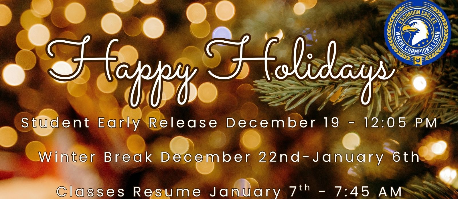 Happy Holidays white text over christmas lights