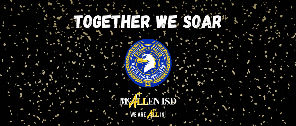 Together We Soar