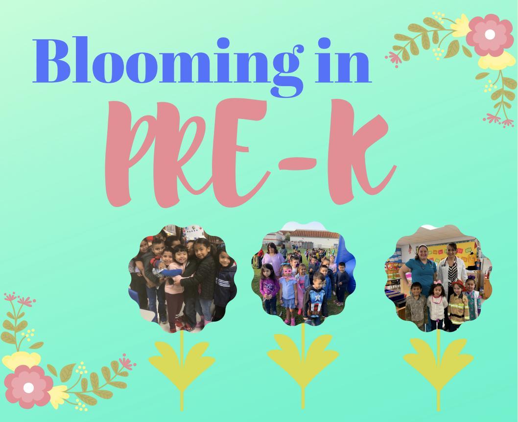 pre-k-woodrow-wilson-elementary
