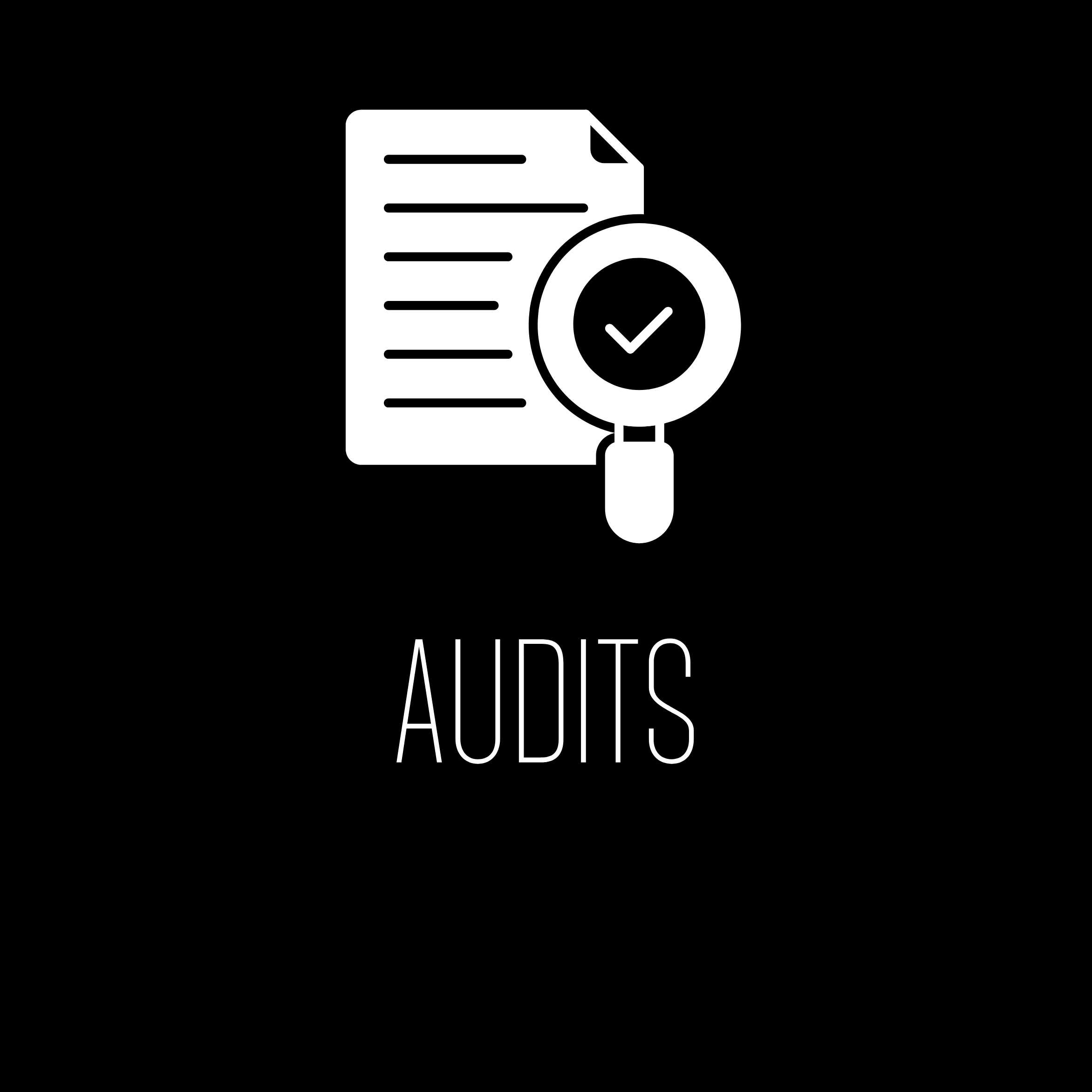 Audits