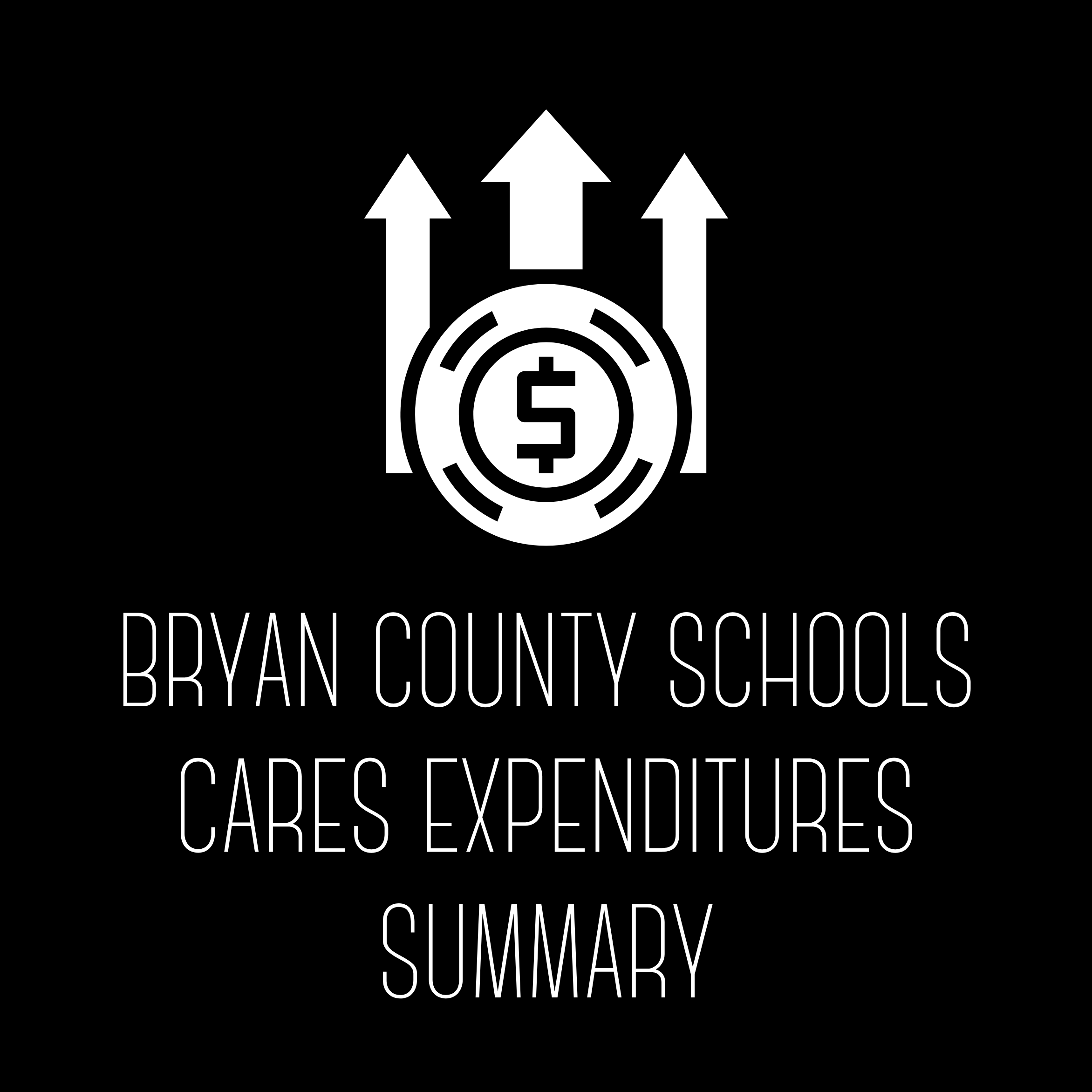 BCS Cares Expenditures Summary