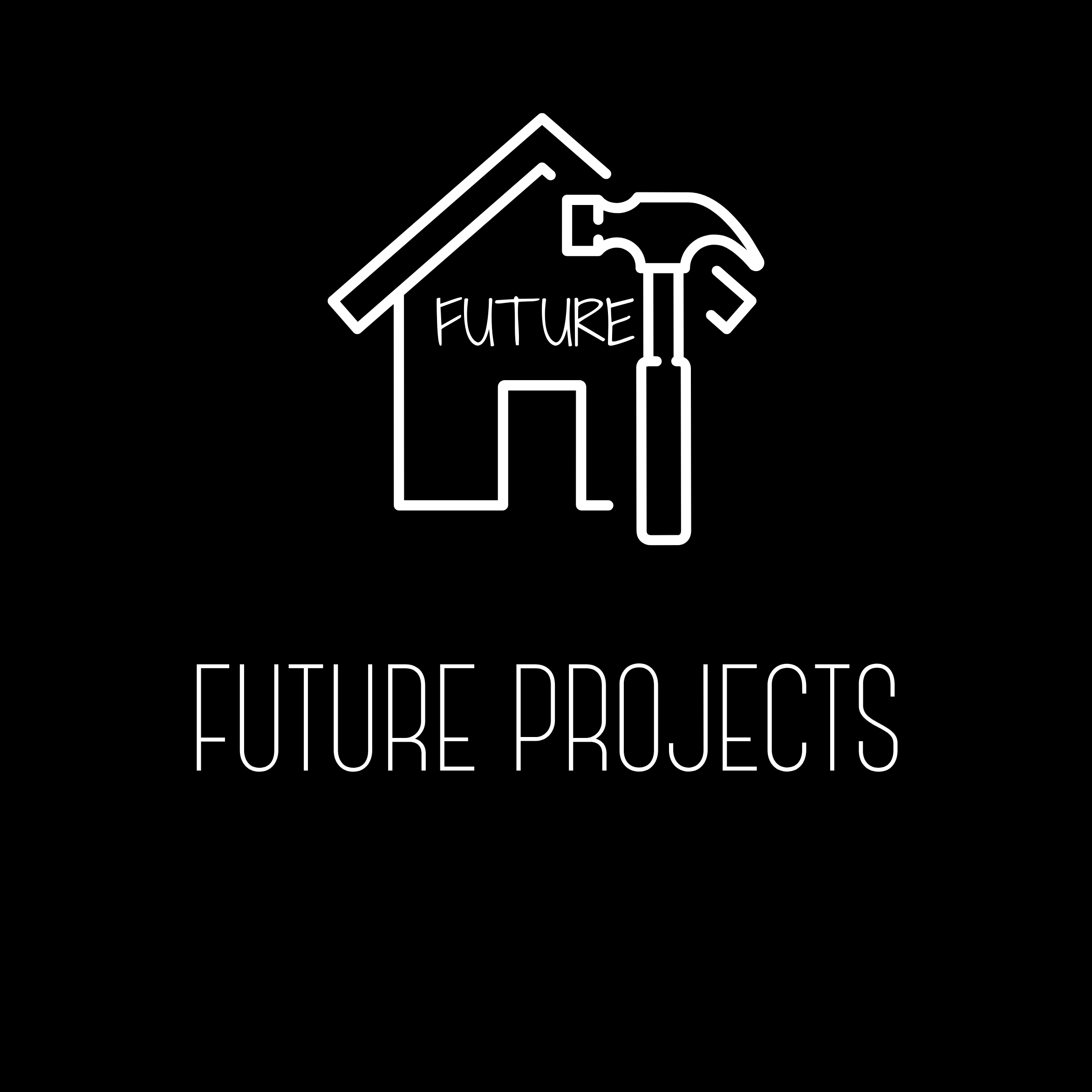Future Projects