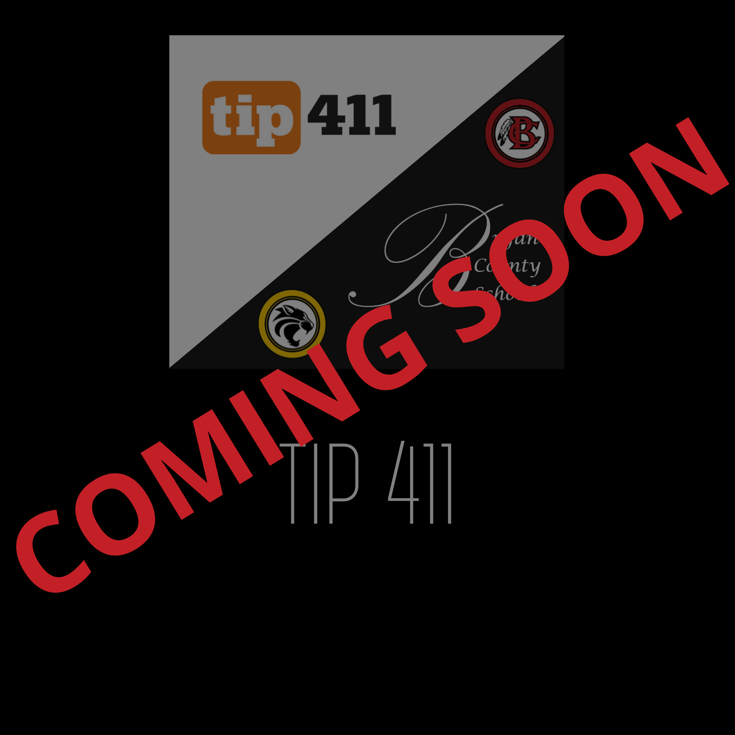 Tip 411
