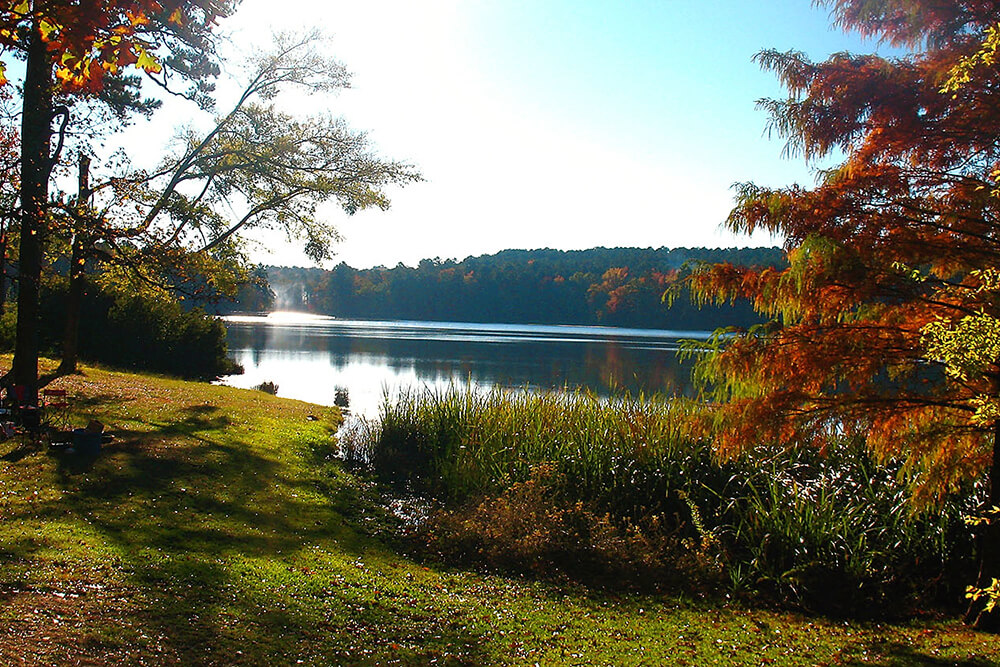 Tyler State Park waterfront 