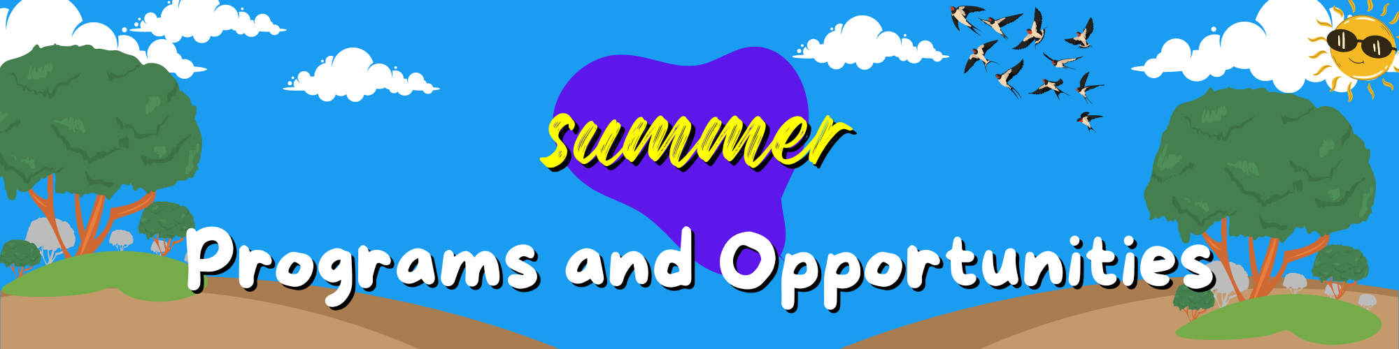Summer programs and opportunites