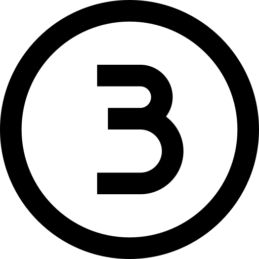 3 in circle icon