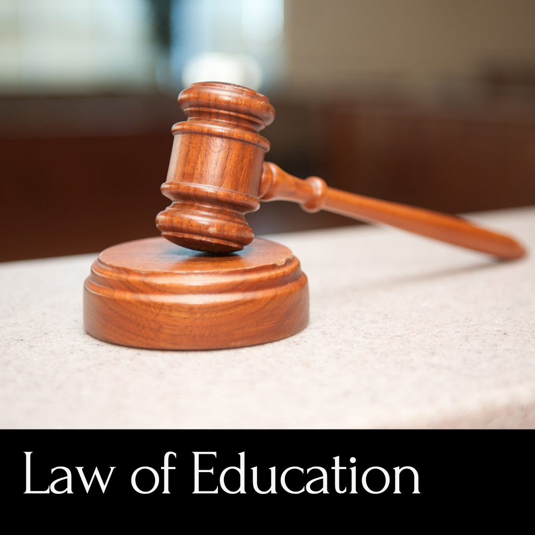 Law of Education - wooden gavel