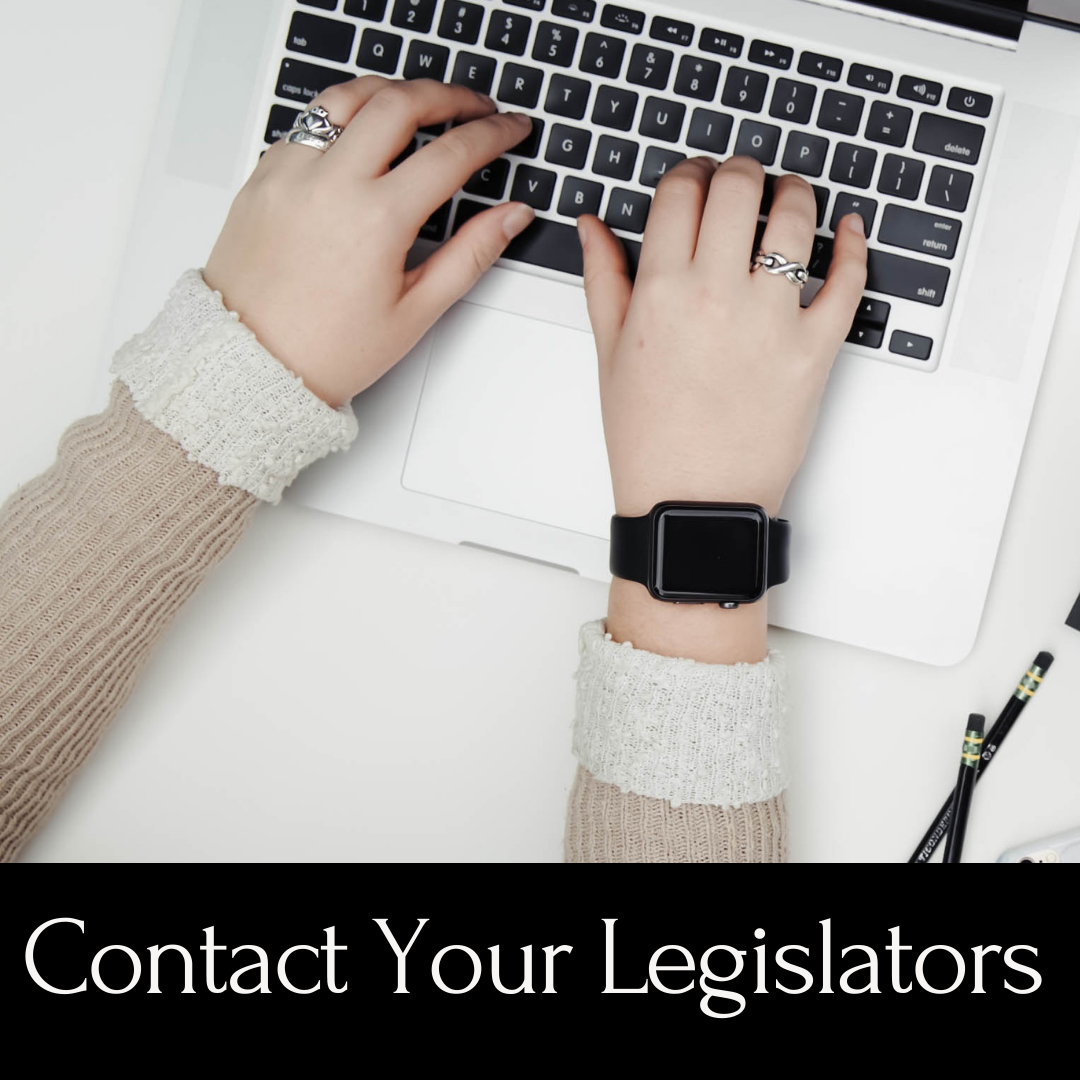 Contact Your Legislators - female hands typing on a laptop