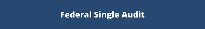 Federal Single Audit
