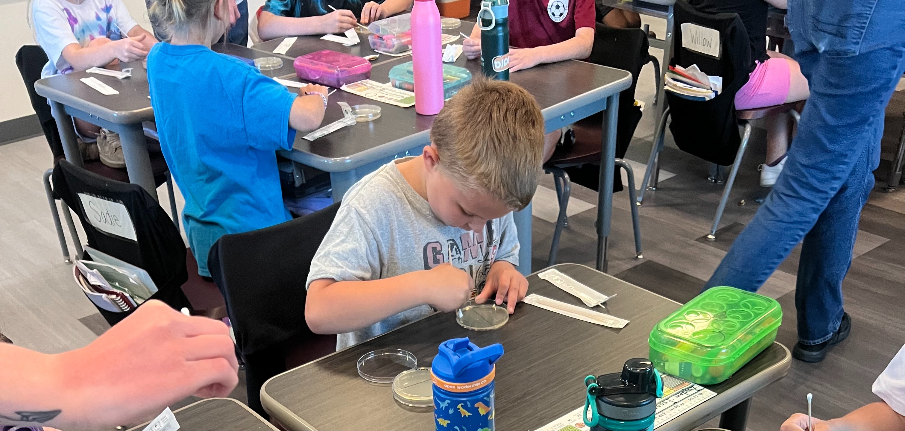 student taking a swab and putting in petri dish