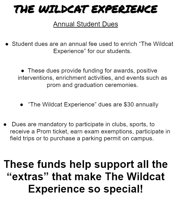 Wildcats Experience Dues