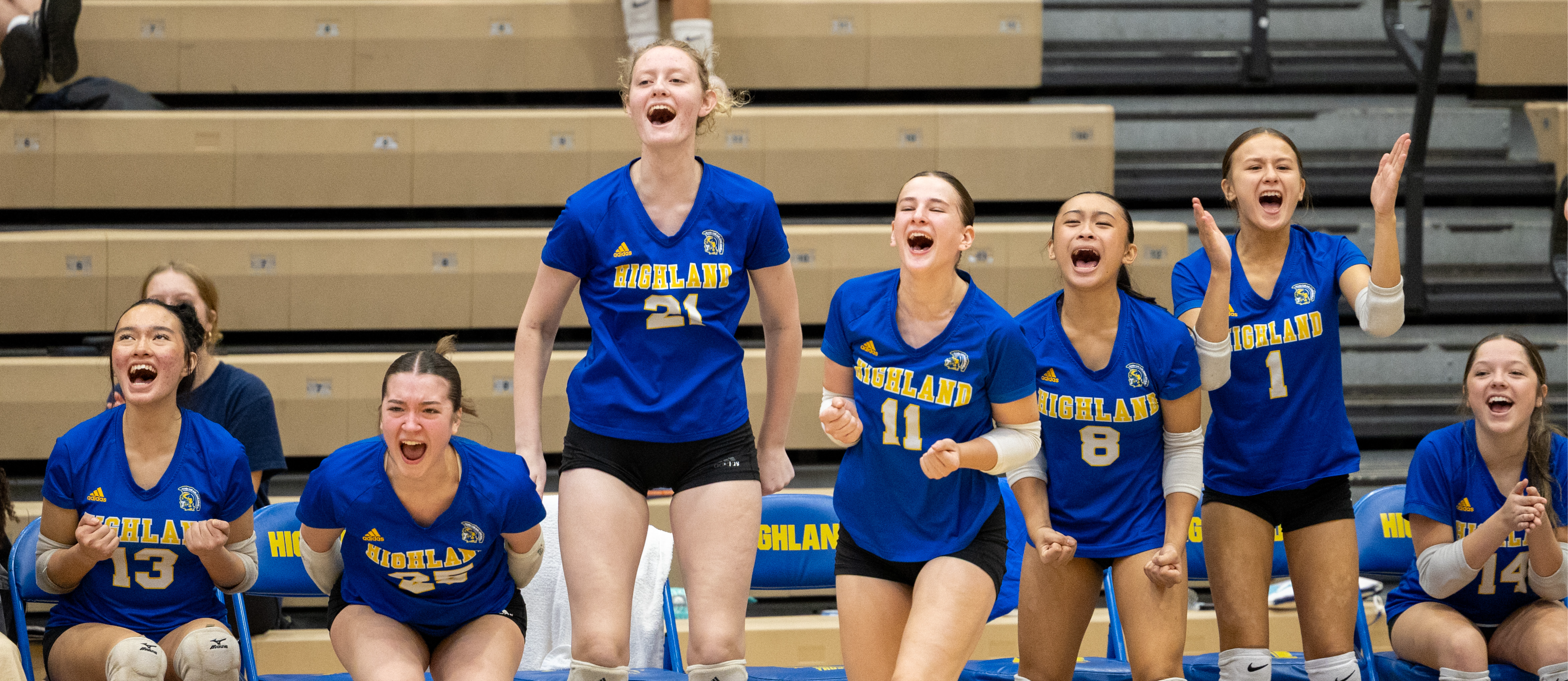 Volleyball Celebration