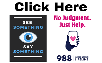 See Something, Say Something