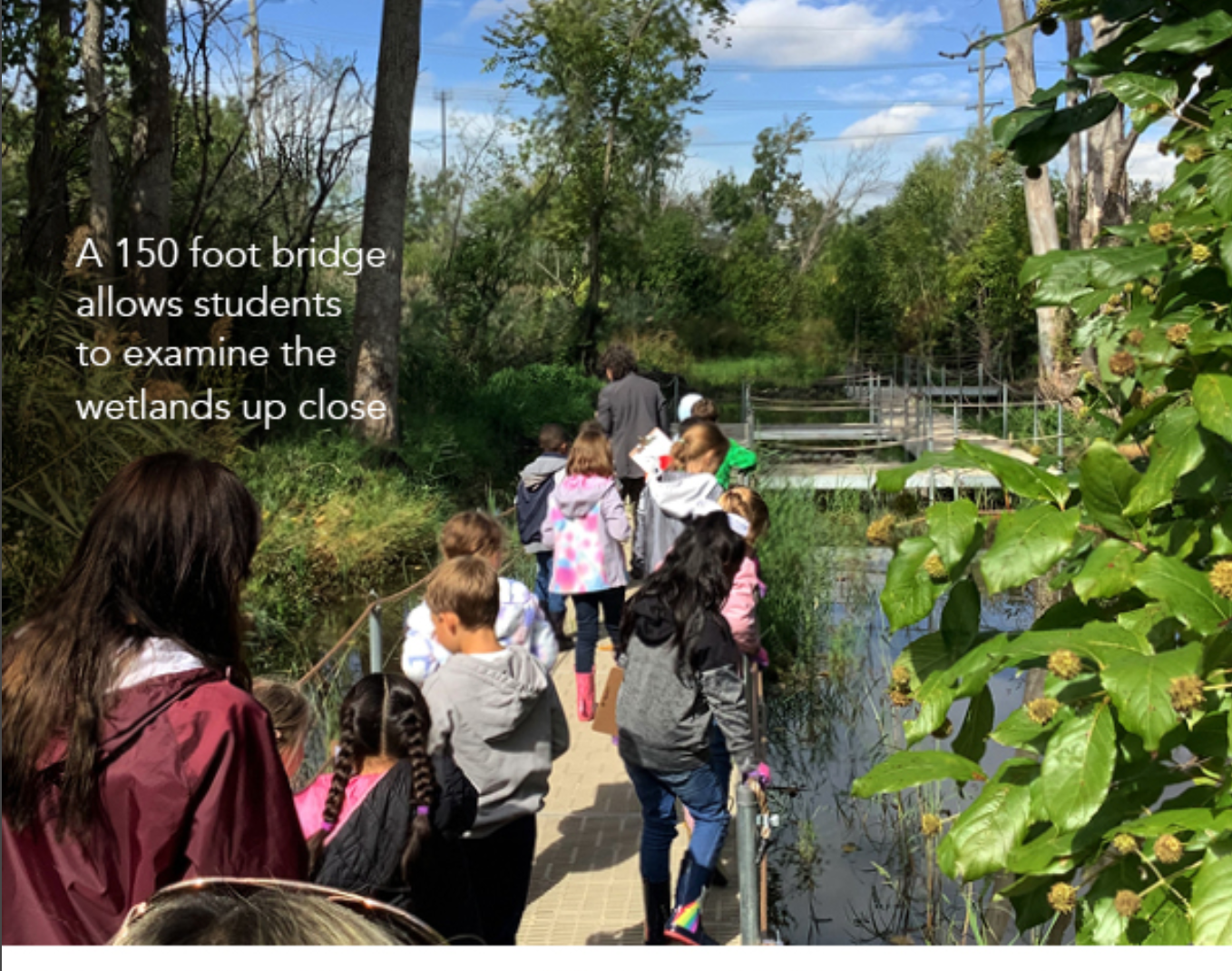 A 150 Foot Bridge Allows Students to examine the Wetlands up close.  Picture of Students on the bridge.