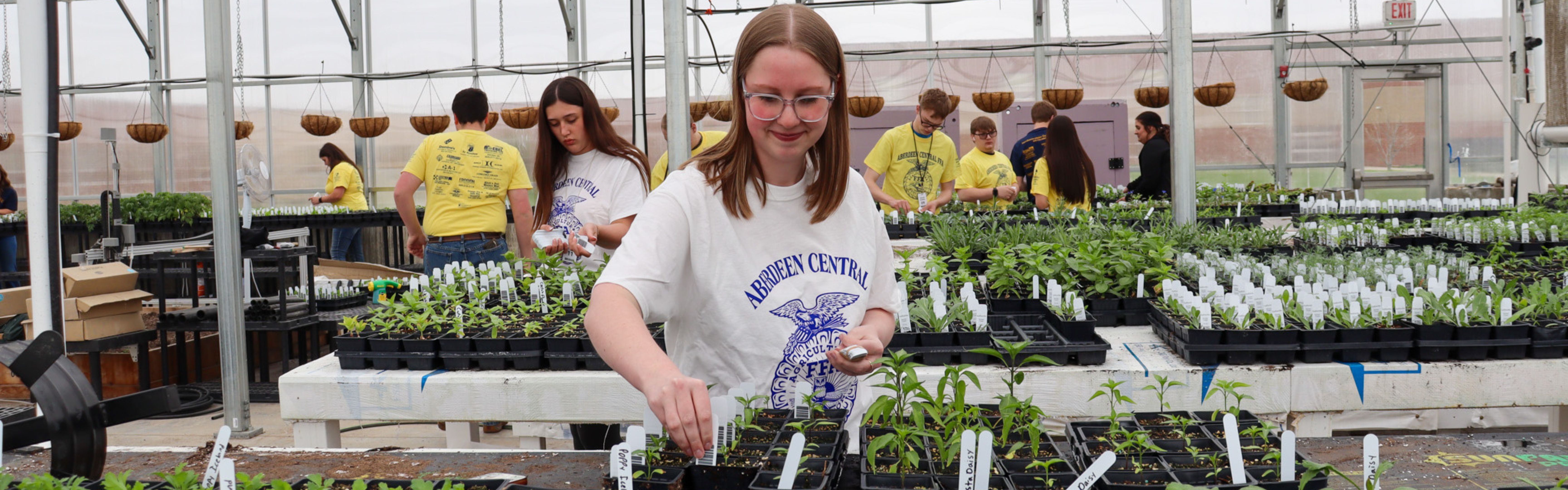 CHS FFA students caring for plants in the ATEC Academy greenhouse