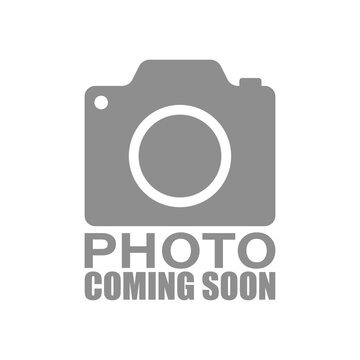 Camera with words Photo Coming Soon