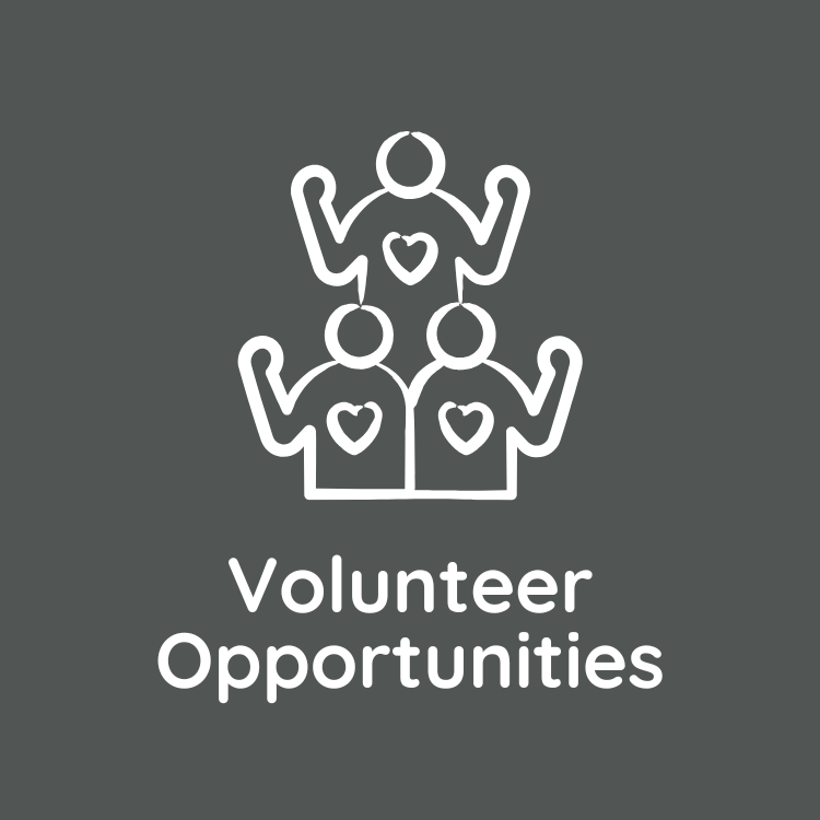 Volunteer Sign Ups