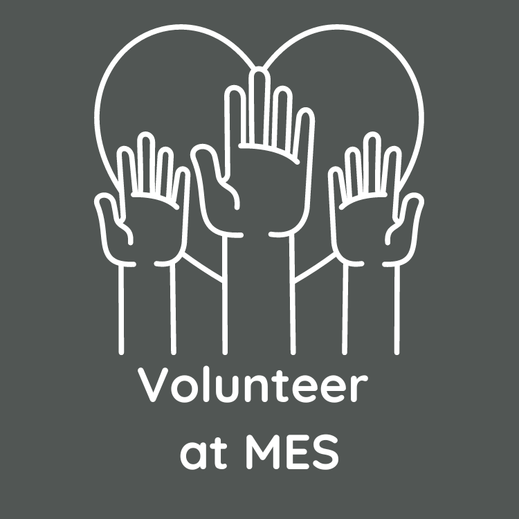 Volunteer at MES