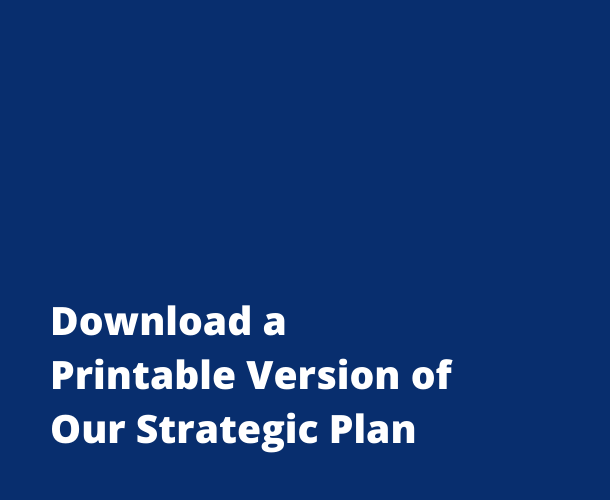 download strategic plan pdf