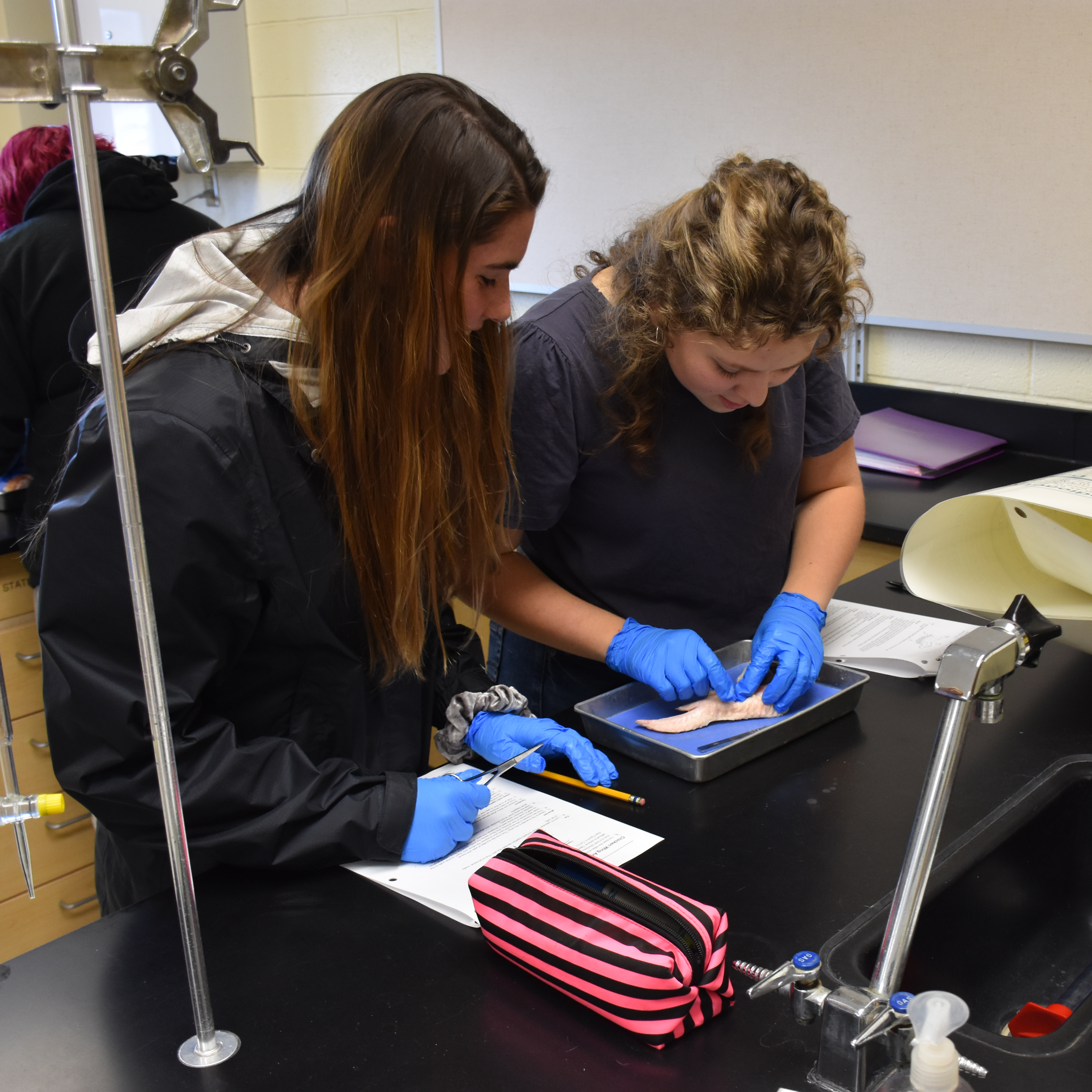 RCS High School students collaborating in a science lab.