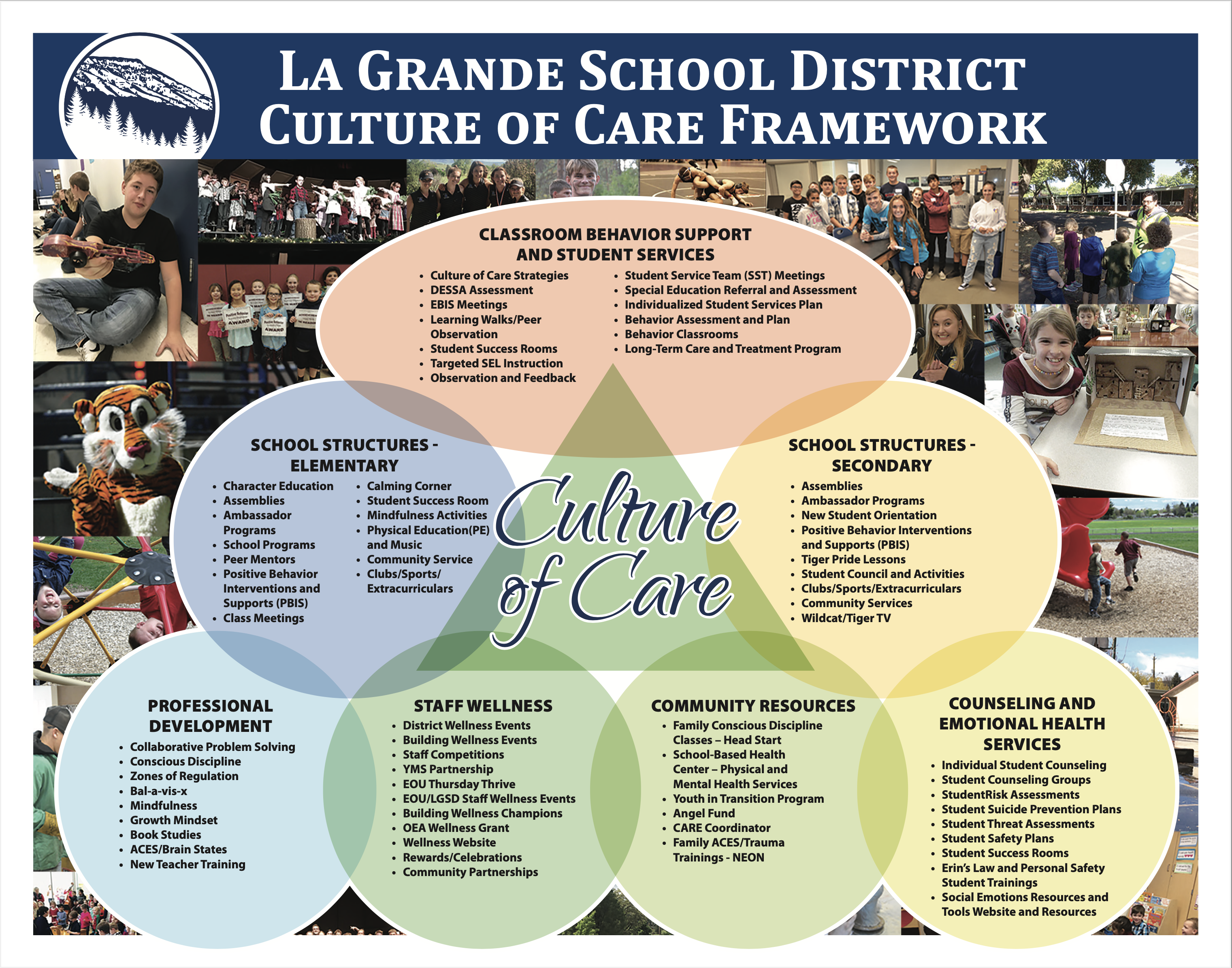 LGSD Culture of Care Framework