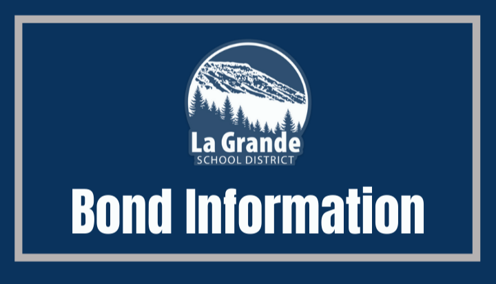 LGSD logo and "Bond Information"