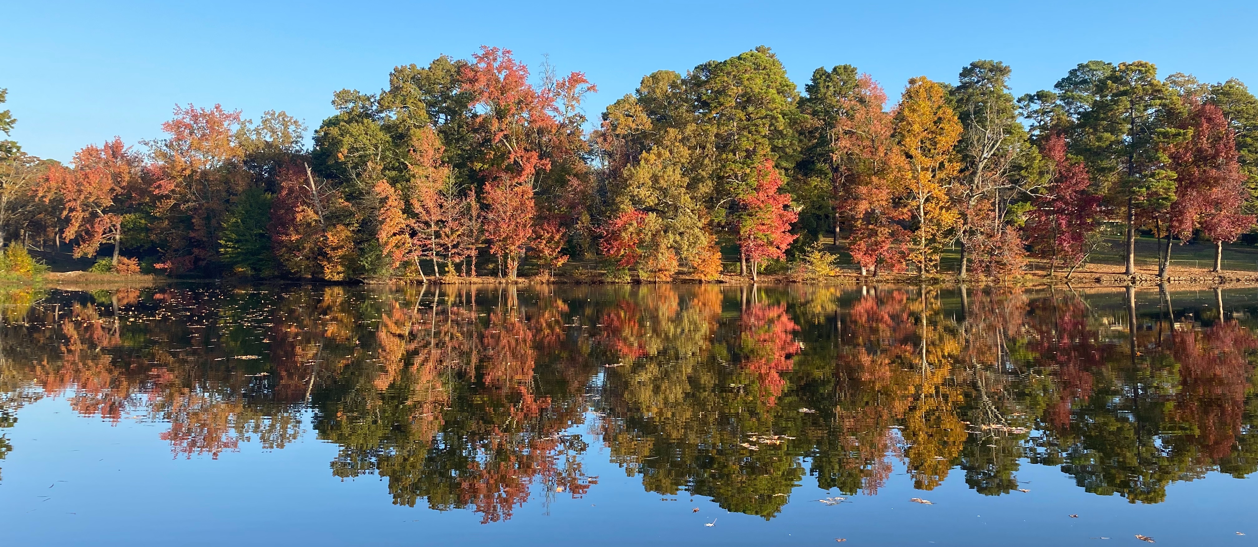 beautiful fall foliage along the  rebsamen lake