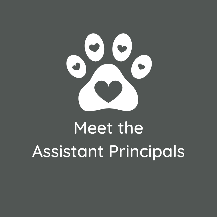 Meet the Assistant Principals