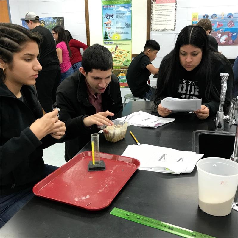 Group of students working