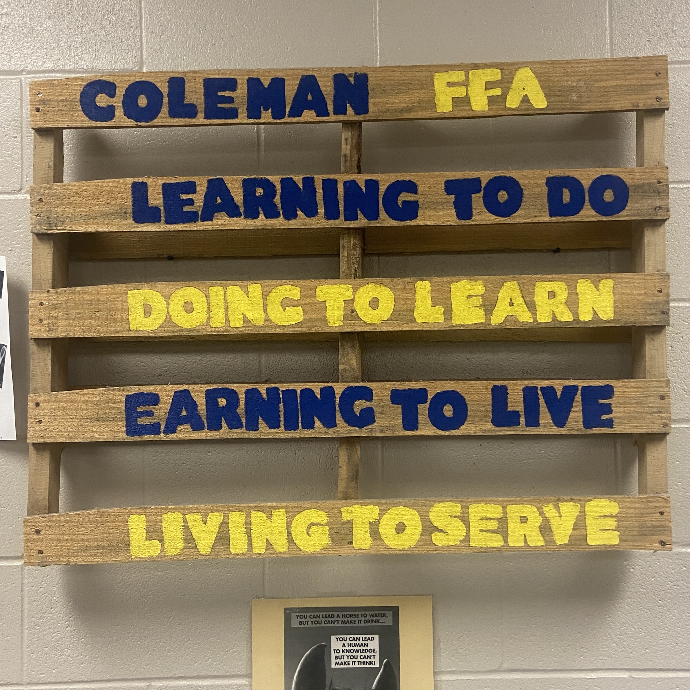 coleman ffa