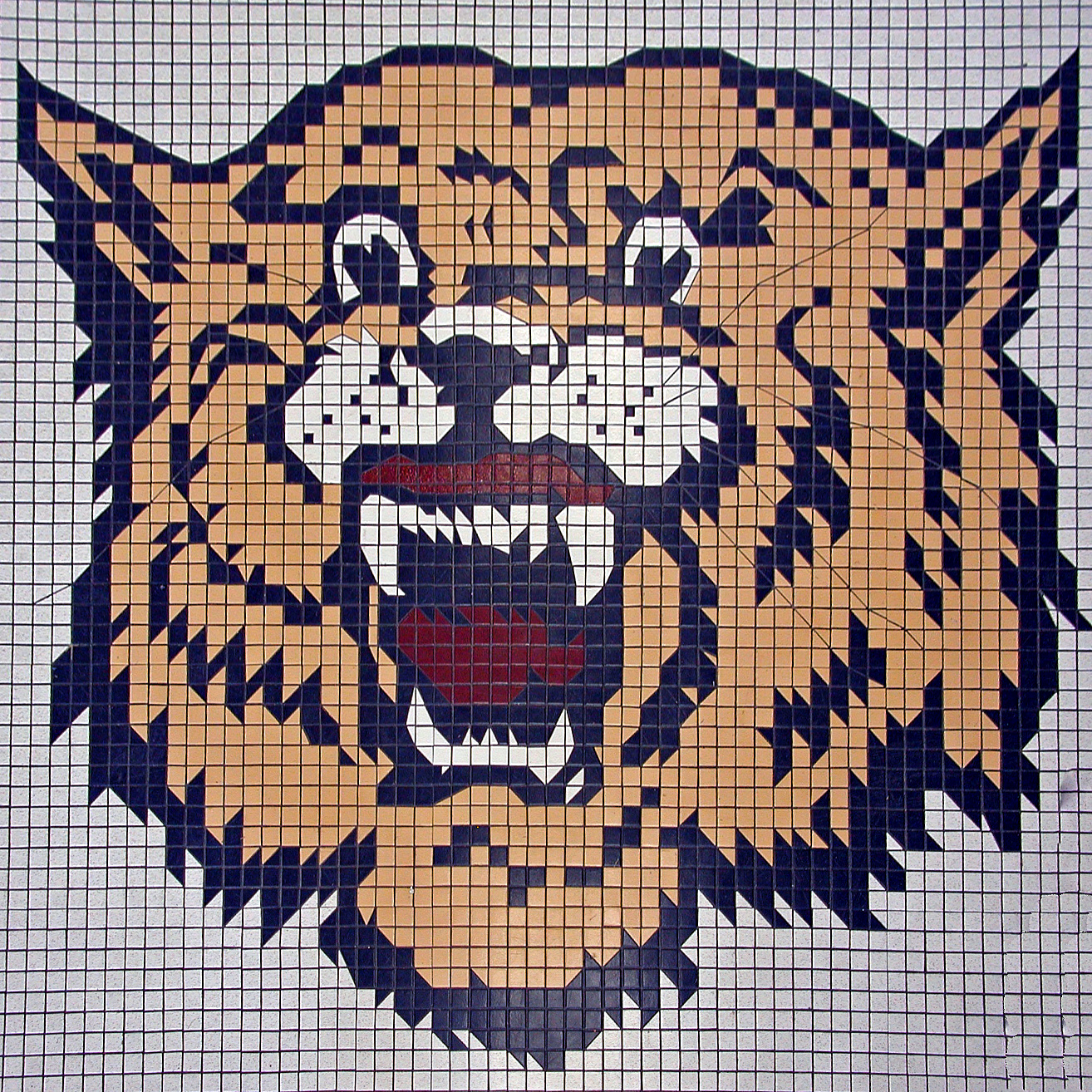 Wildcat floor mosaic