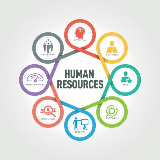 human resources diagram