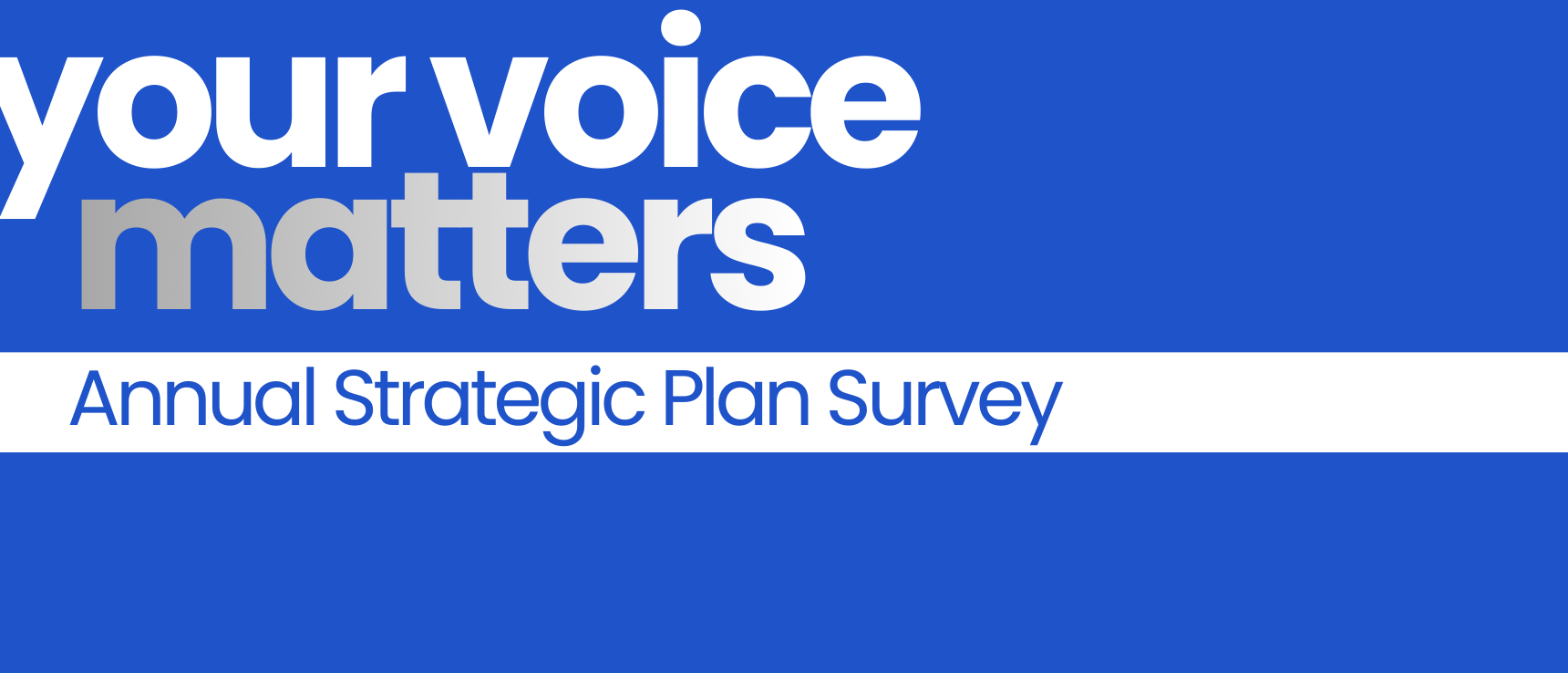 Annual Strategic Plan Survey