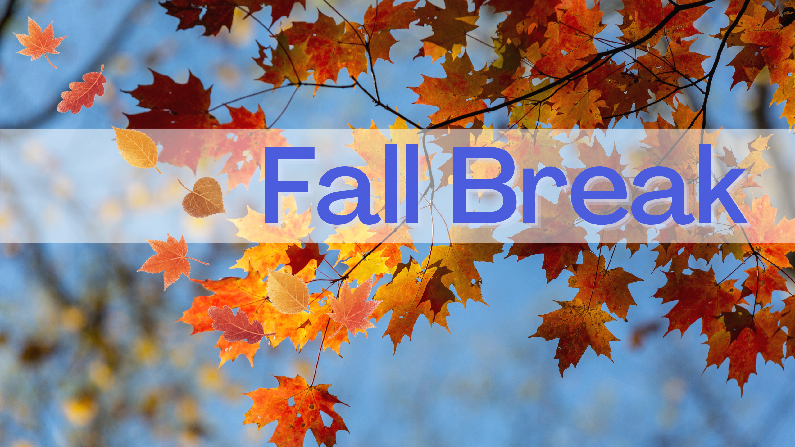 FALL BREAK