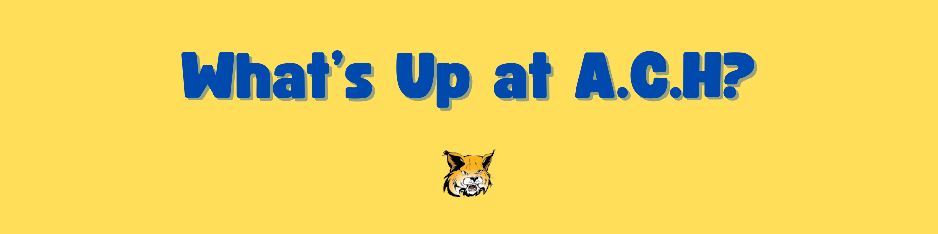 What's Up at A.C.H?