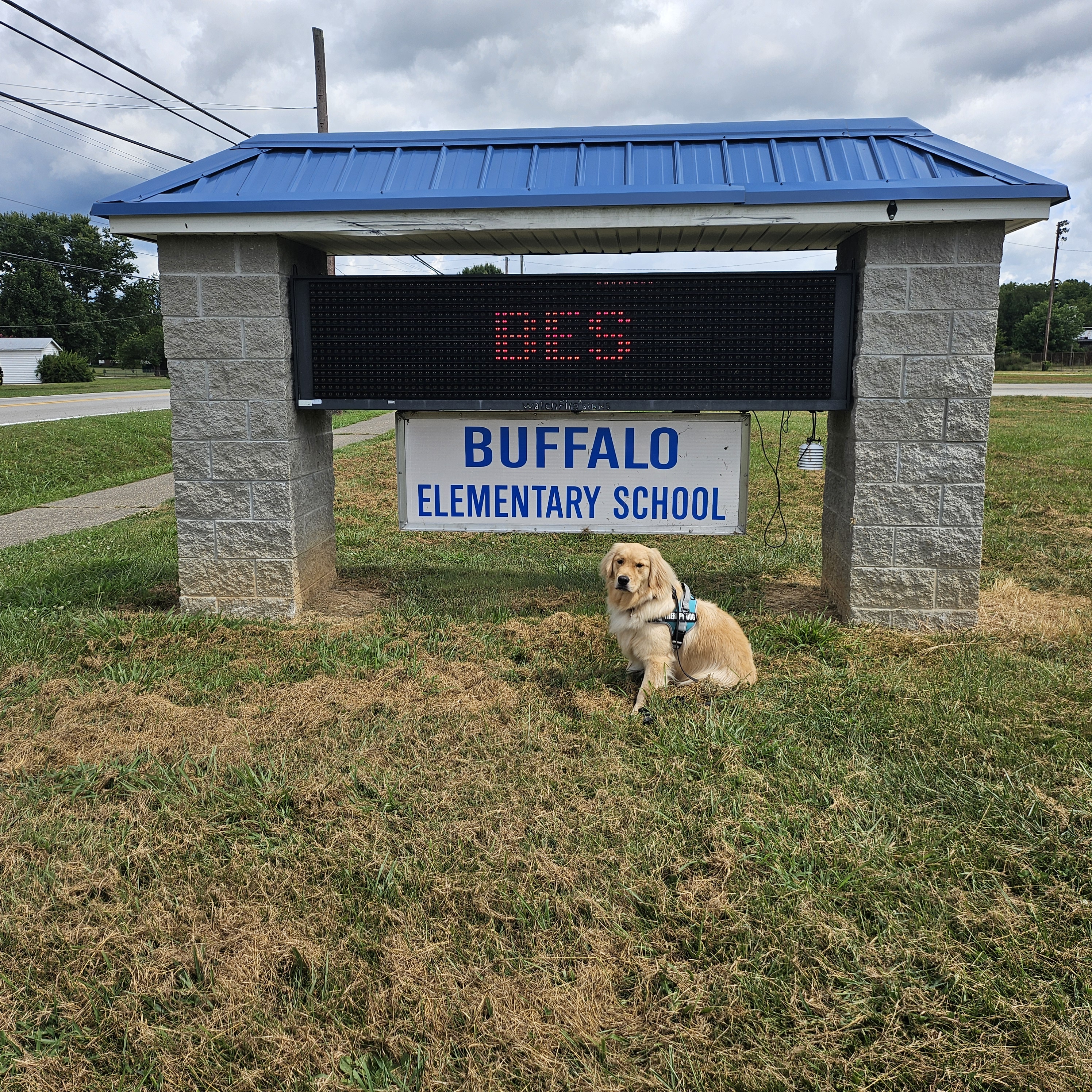 Bo, Buffalo Elementary School's Therapy dog standing in front of the school sign board