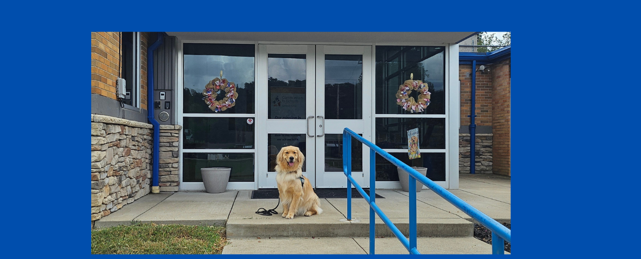 Bo welcoming students and families to Buffalo Elementary School by sitting in front of our doors