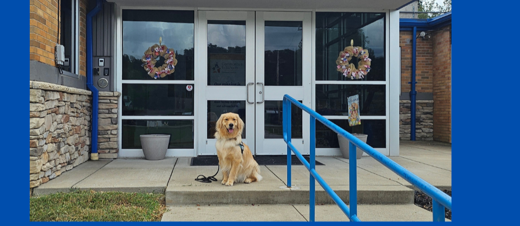 Bo welcoming students and families to Buffalo Elementary School by sitting in front of our doors