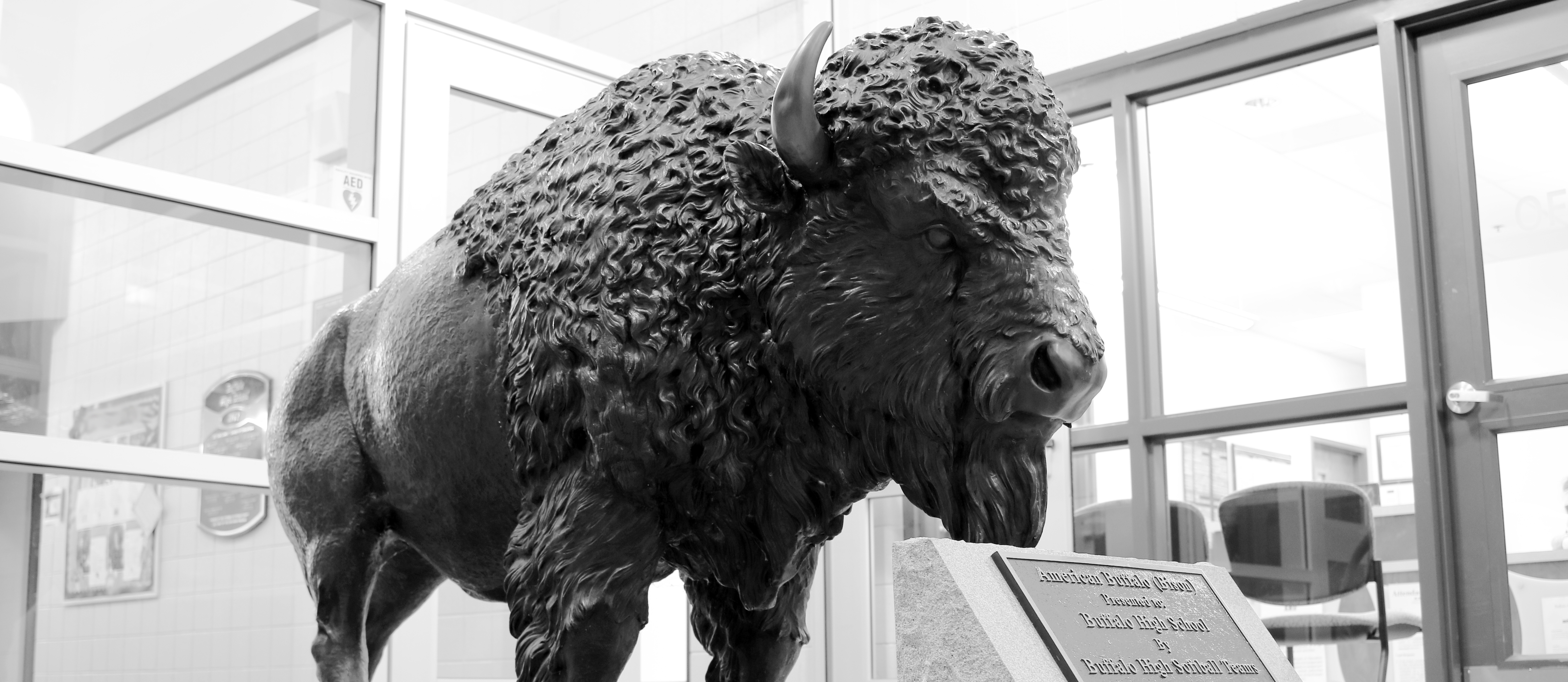 Bison Statue
