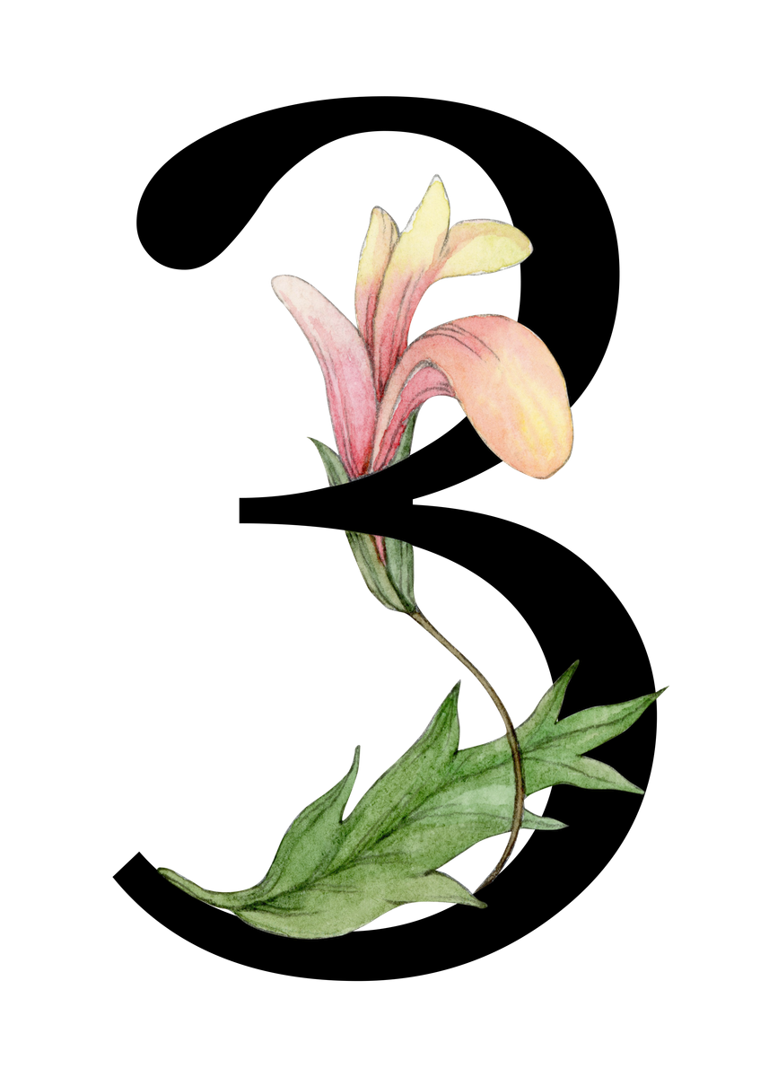 West Virginia General Summative Assessment Reports Wood County Schools