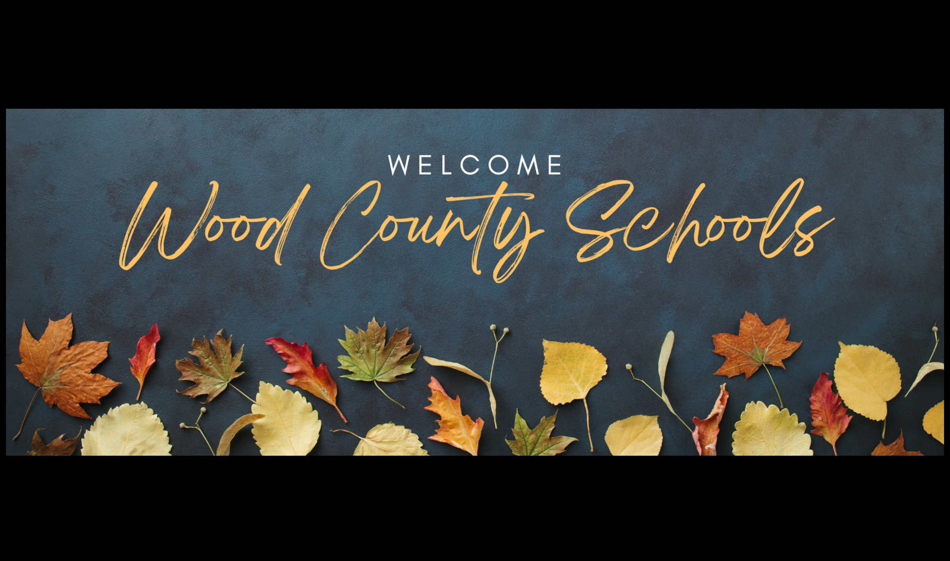 welcome to wood county schools with images of autumn leaves