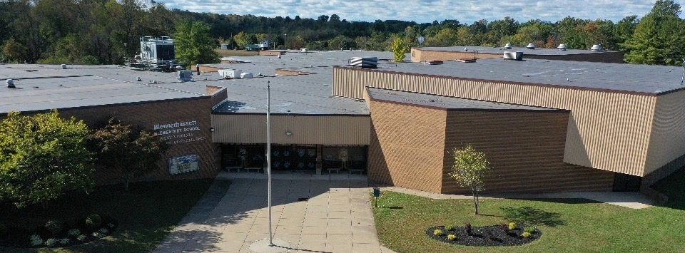 Drone Picture