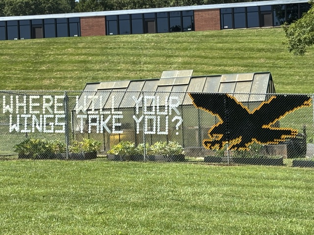 Eagles!