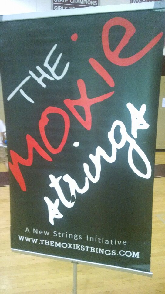 The Moxie Strings banner