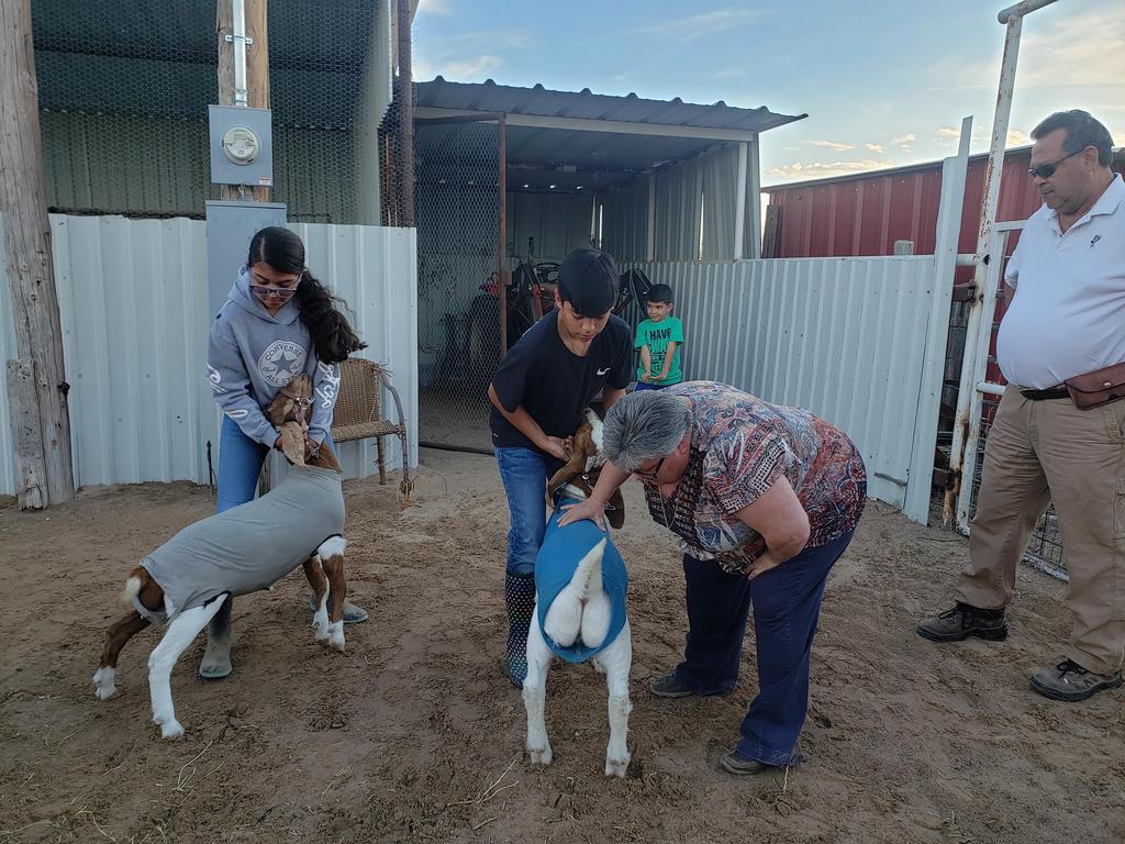 Junior FFA students practicing showmanship skills
